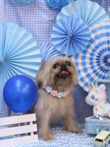 20231105ムーくん